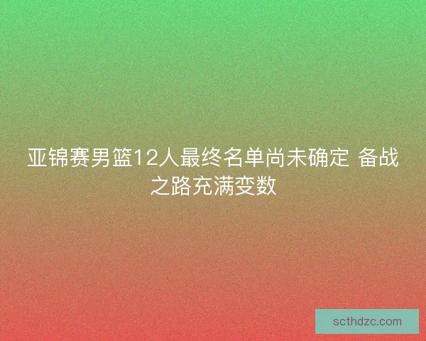 亚锦赛男篮12人最终名单尚未确定 备战之路充满变数
