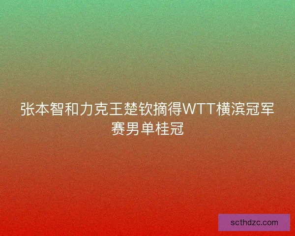 张本智和力克王楚钦摘得WTT横滨冠军赛男单桂冠