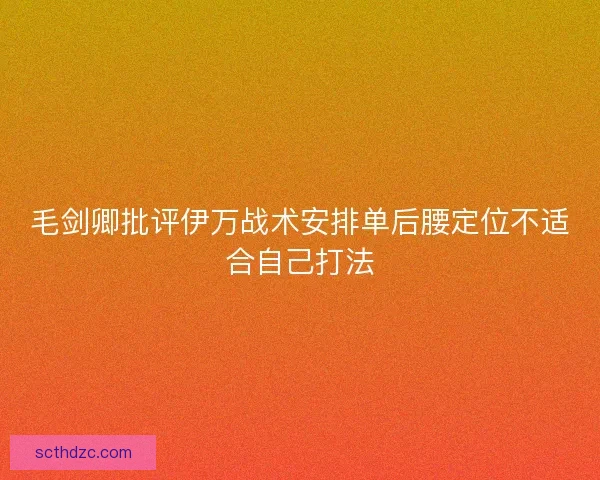 毛剑卿批评伊万战术安排单后腰定位不适合自己打法
